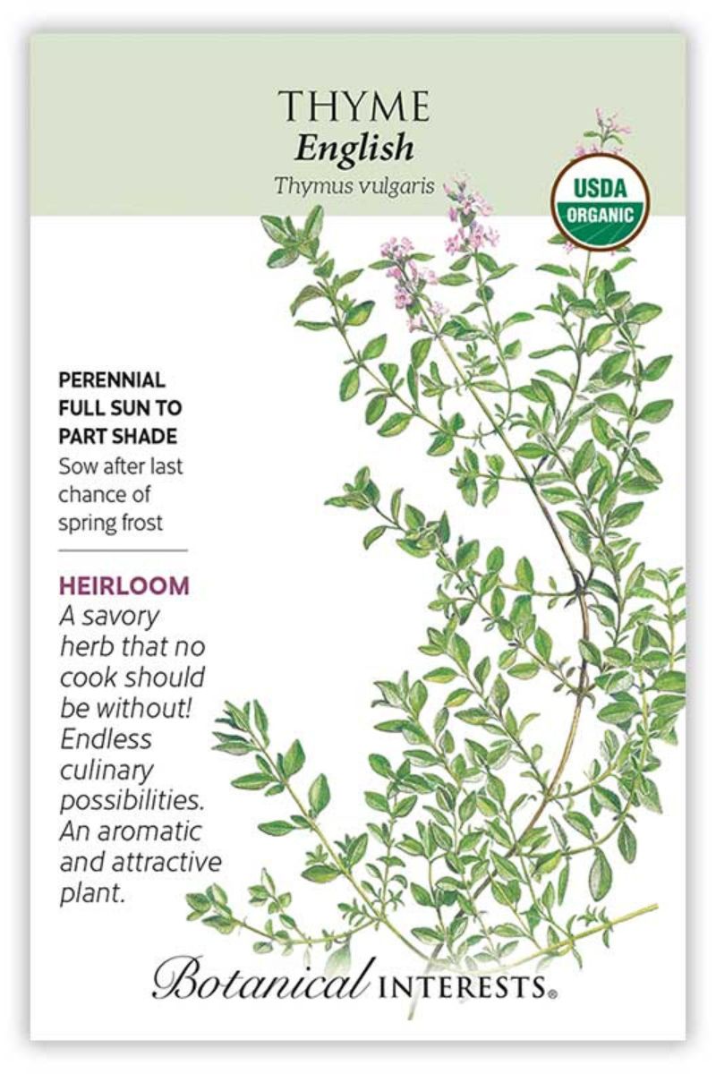 Botanical Interests English Thyme Seeds