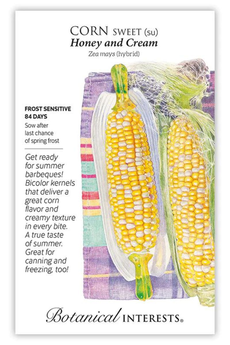 Botanical Interests Honey and Cream Sweet Corn  Seeds