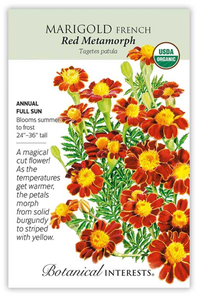 Botanical Interests Red Metamorph French Marigold Orgaanic Seeds