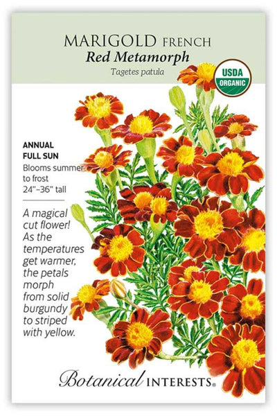 SEED MARIGOLD FRENCH RED METAM