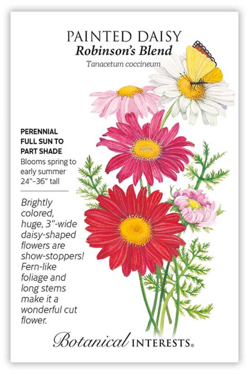 Botanical Interests Robinson's Blend Painted Daisy Seeds
