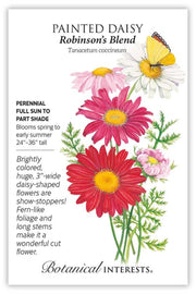 SEED PAINTED DAISY ROBINSON'S