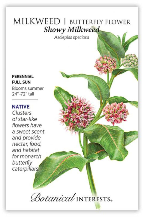 Botanical Interests Snowy Milkweed/Butterfly Flower Seeds