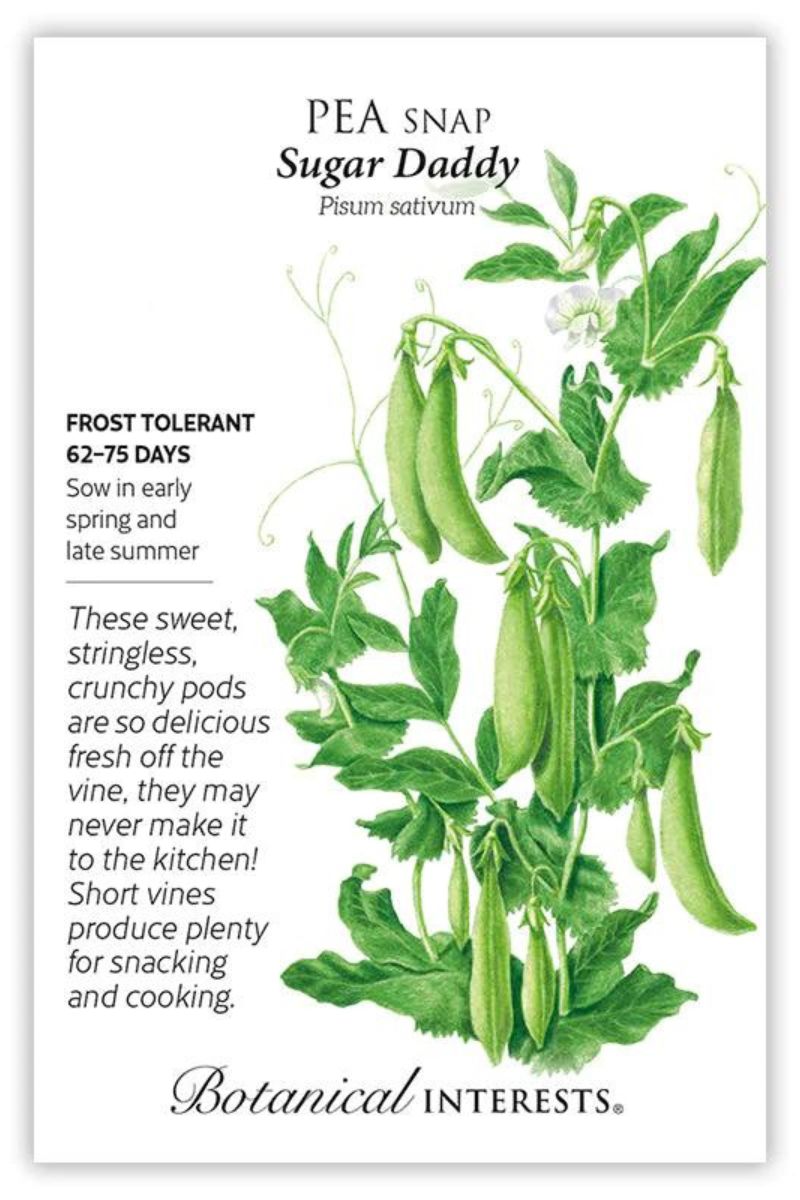 Botanical Interests Sugar Daddy Snap Pea Seeds