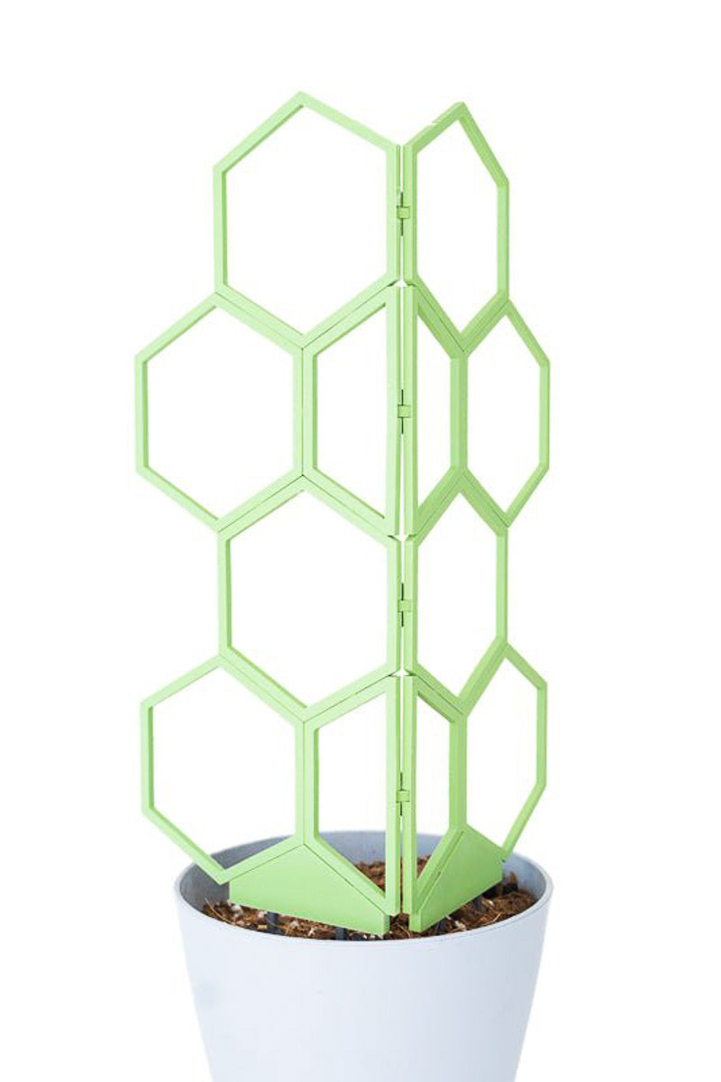 SuperTrellis 50pc Green Tea Starter Kit
