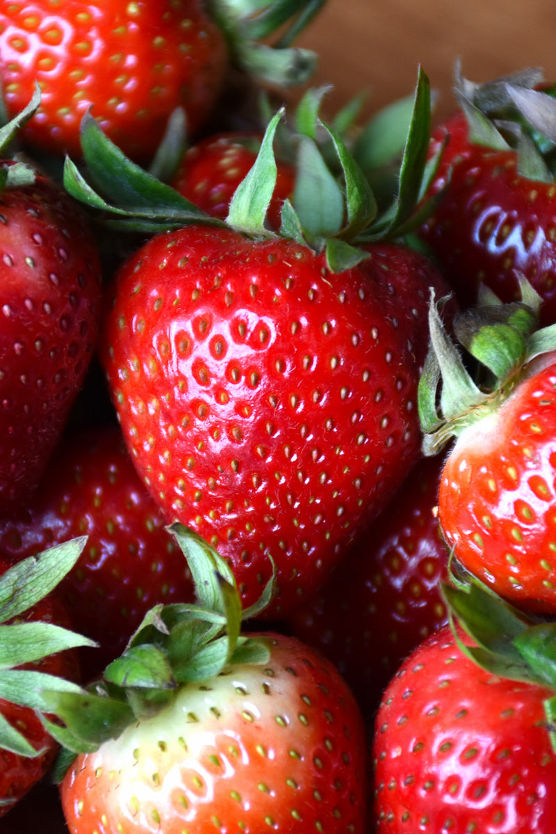 Strawberry, Ozrk Bty