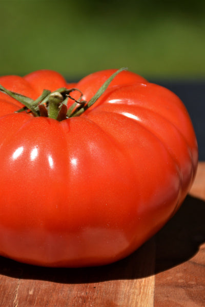 Vegetable,,Tomato Champion