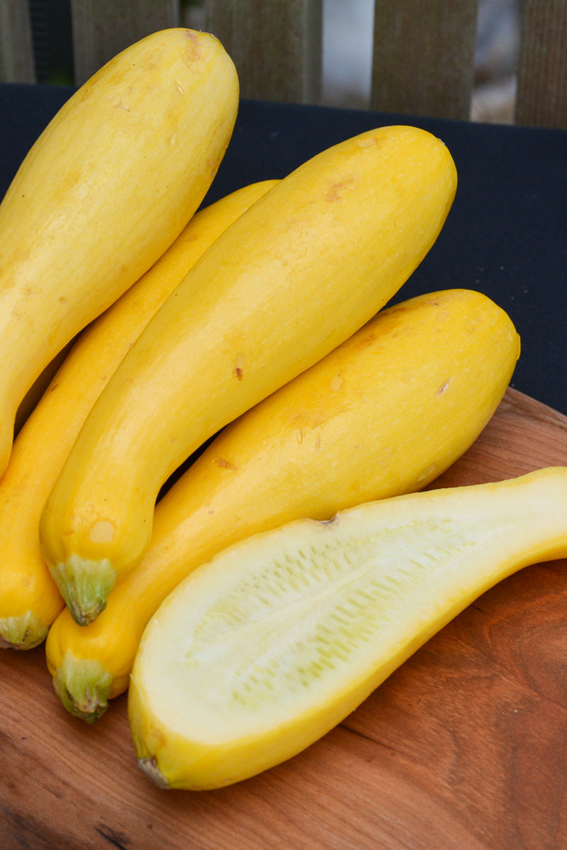 Vegetable, Squash Yellow