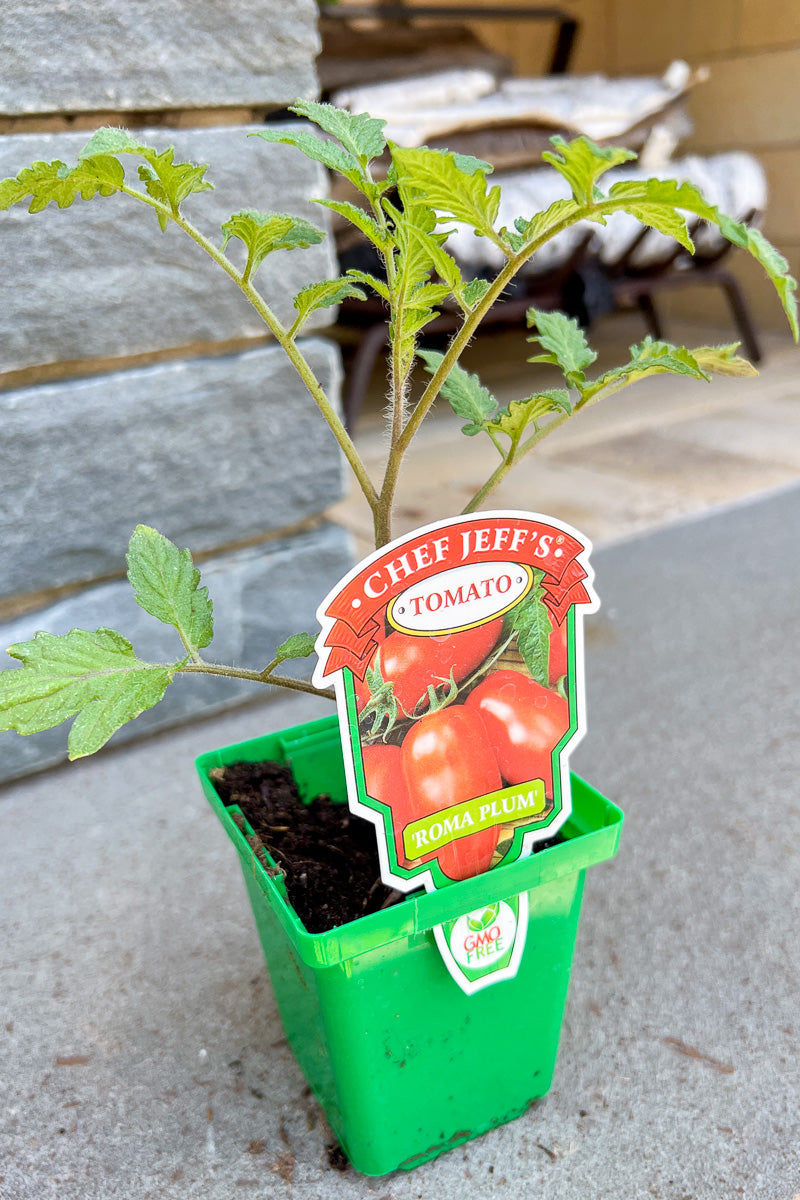 Vegetable, Tomato Roma Plum