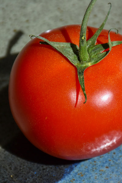 Vegetable, Tomato Early Girl