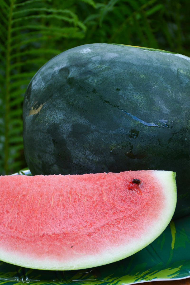 Vegetable, Watermelon Sugar Baby