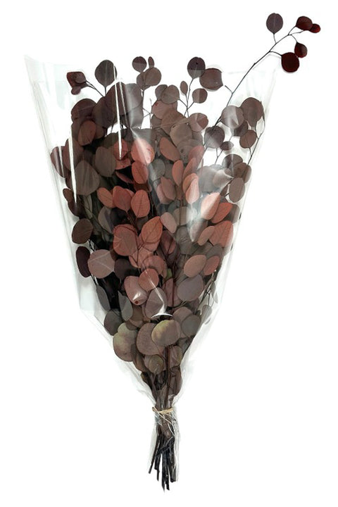 Preserved Silver Dollar Leaves Bunch Red