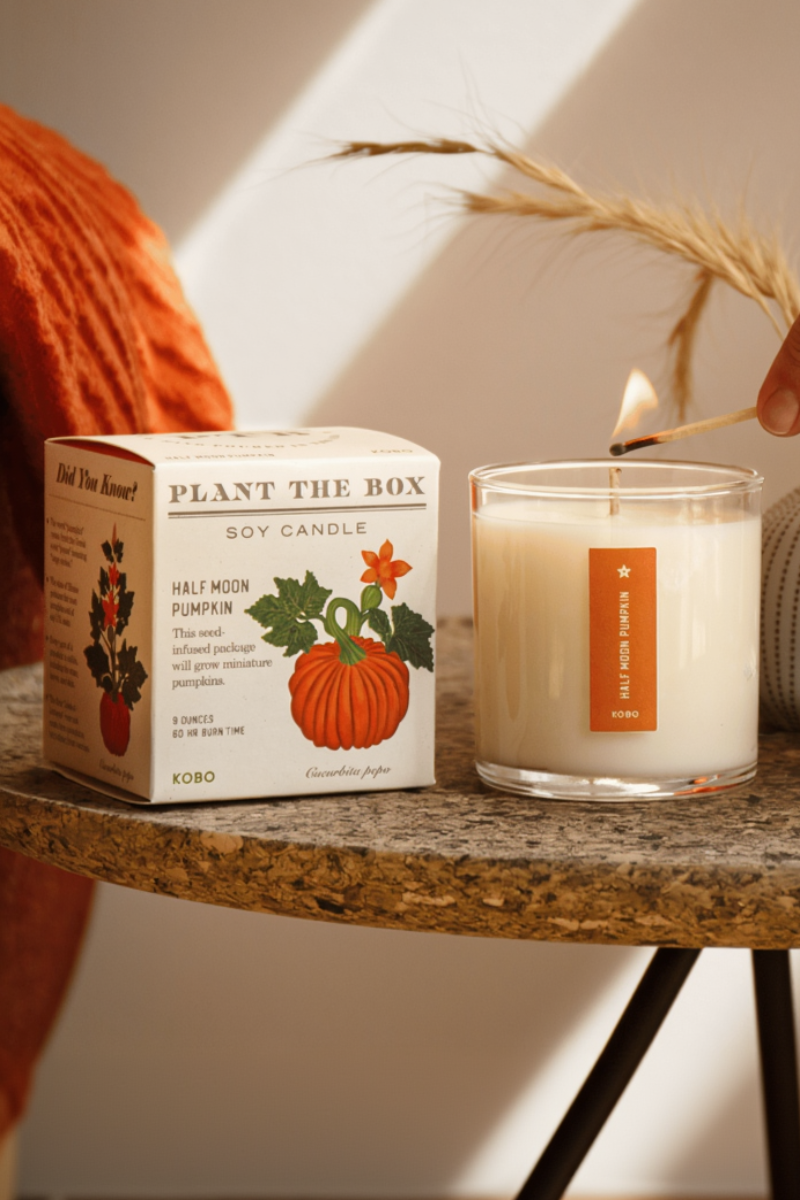 KOBO Half Moon Pumpkin Plant the Box Candle 9 oz