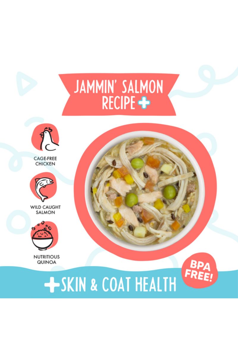 Weruva Meals 'n More MNM Jammin Salmon Recipe Plus Cup 3.5 oz