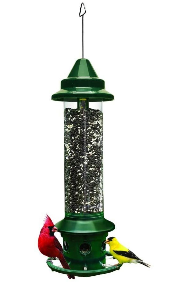 Brome Bird Care Squirrel Buster Plus Feeder