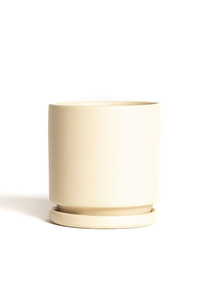 Cylinder Pot With Saucer 10.5" Almond