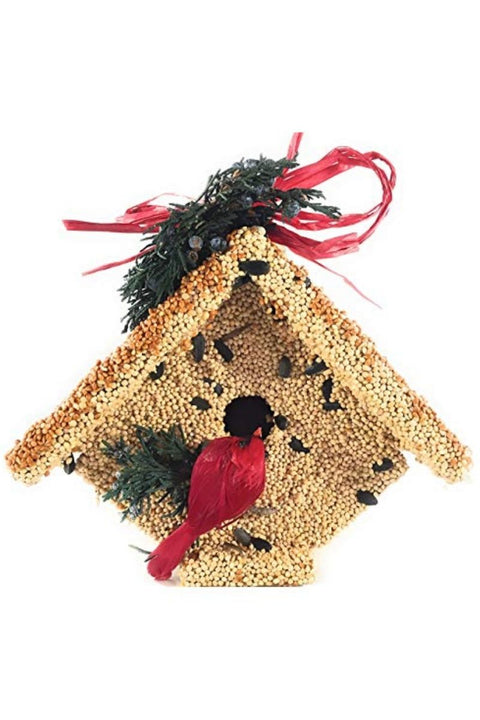 BIRD FOOD, XMAS WREN CASITA