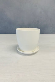 Chive Pot & Saucer Porcelain 3" White