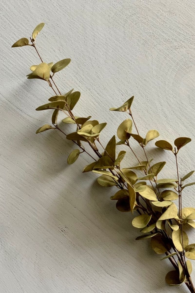 SILK SPRAY EUCALYPTUS 36" GRN