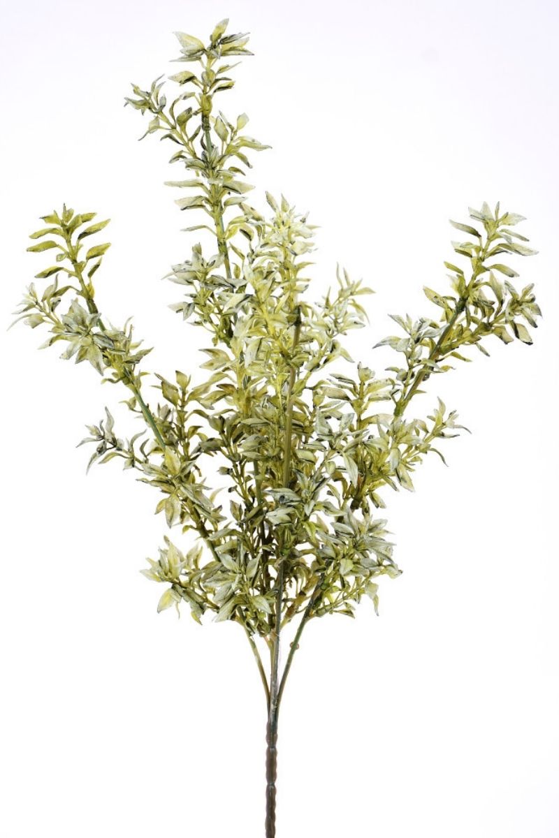 SILK, PRIVET BUSH X5 18"