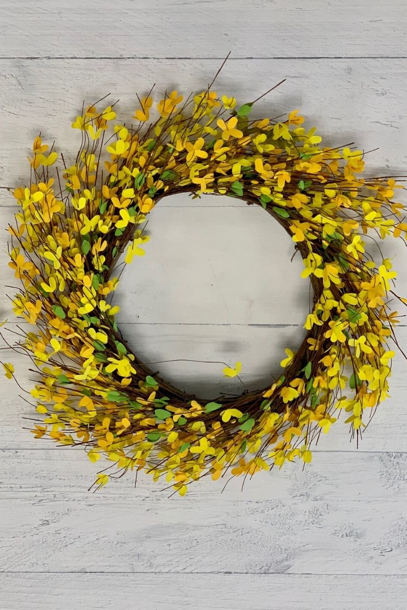 SILK, FORSYTHIA WREATH 24"
