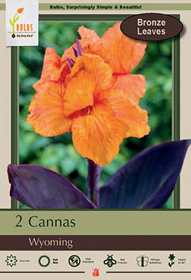 Canna Wyoming 2 Pack