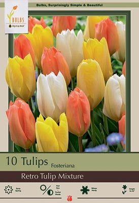 Tulip Retro Mixture Bulbs 10/Pack