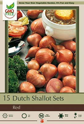 Dutch Onion Red Shallots 15 Pack