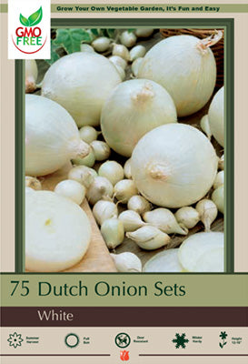 BULB, DUTCH ONION WHITE PK/75