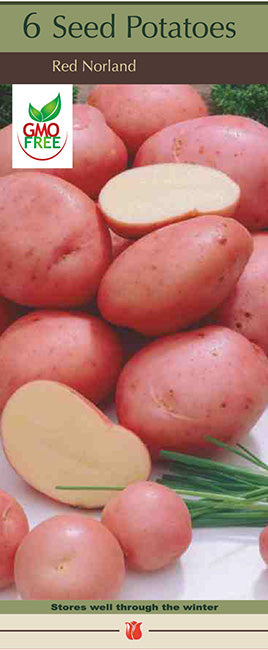 SEED, POTATOES DK. RED NORLAND