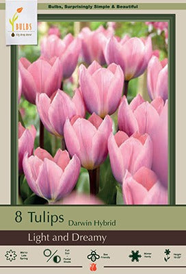 Light and Dreamy Tulip Bulbs 7/Pack