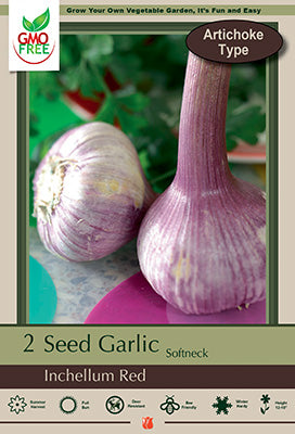 Allium Garlic Inchelium Red Bulb 2 Pack