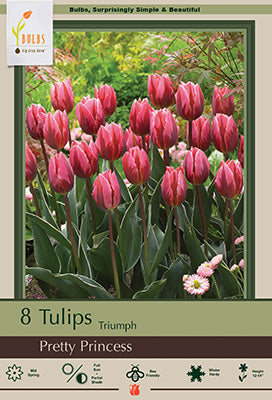 BULB TULIP PRETTY PRINCSS 8/PK