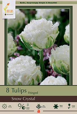 BULB TULIP SNOW CRYSTAL 8/PK