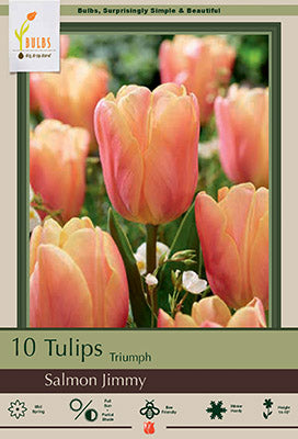 BULB TULIP SALMON JIMMY 10/PK