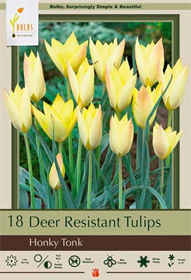 Tulip Honky Tonk Bulbs 18/Pack