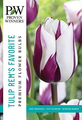 Tulip Rem's Favourite Bulbs 10/Pack