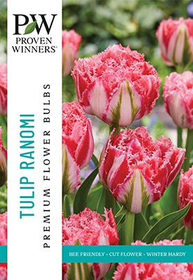 Tulip Ranomi Bulbs 10/Pack