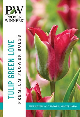 Tulip Green Love Bulbs 15/Pack