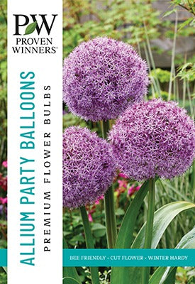 Allium Party Balloons Bulbs 2/Pack