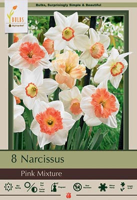 BULB, NARCISSUS PINK MIX 8/PK