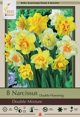 Narcissus Double Mixture Bulbs 8/Pack