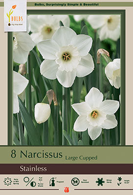 BULB, NARCISSUS STAINLESS 8/PK