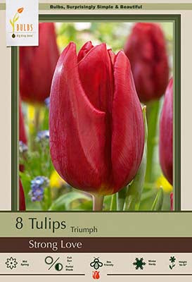 BULB, TULIP STRONG LOVE 8/PK