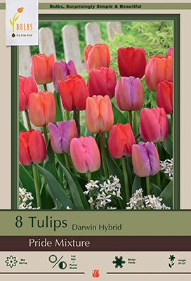 BULB, TULIP PRIDE MIX 8/PK