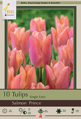 Tulip Salmon Prince Bulbs 10/Pack
