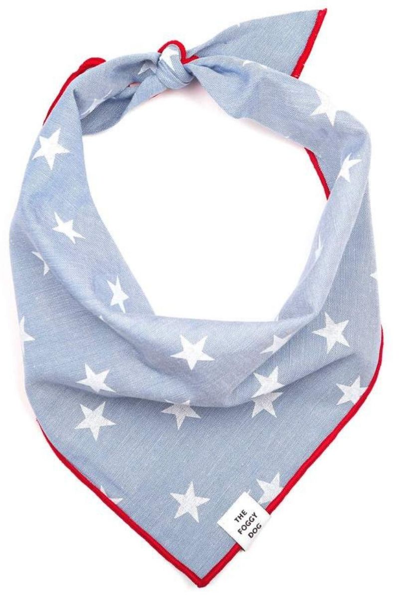 Foggy Dog Liberty Bandana Medium