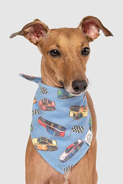 BANDANA RACE CAR L/XL