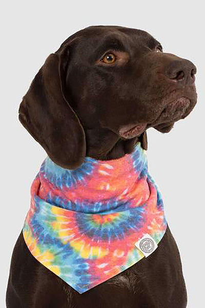 COOLING BANDANA RAINBOW SM