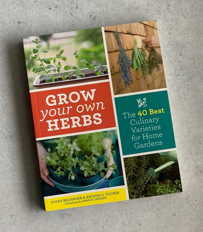 BOOK GROW YOUR OWN HERBS pb